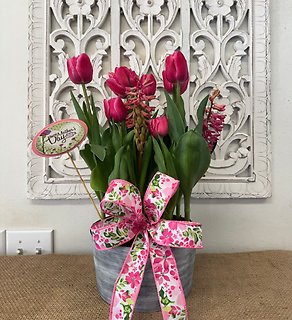 TULIP GARDEN FOR MOM