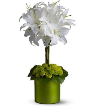 White Lily Topiary