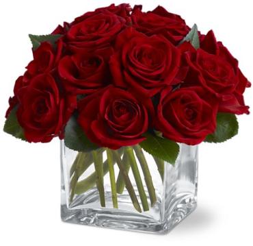 Contemporary Dozen Red Rose Bouquet