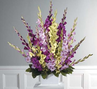 Tranditional Gladiolus Fan Spray