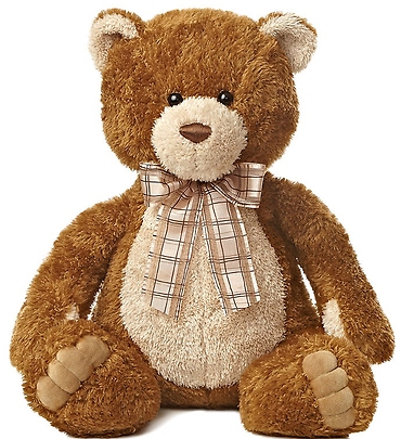 BROWN SUGAR 22\" BROWN TEDDY BEAR