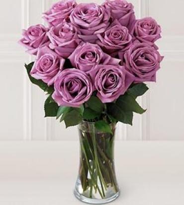 1 DOZEN LAVENDER ROSES VASED