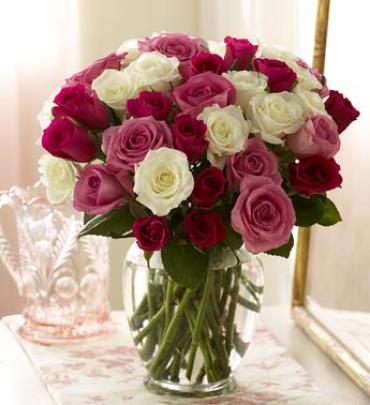 Pink & White Roses