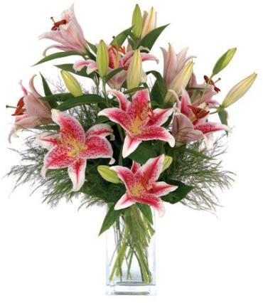 Stargazer Bouquet ON SALE NOW!