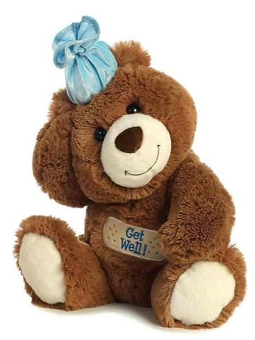 CUDDLY 12\" PLUSH GET WELL BEAR