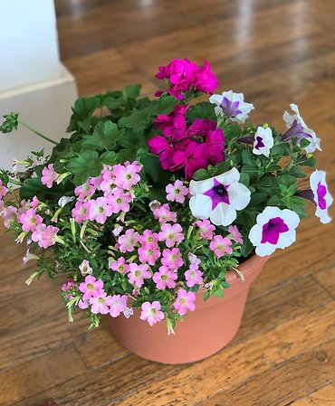 SUES\' OUTDOOR ROUND FLOWER PLANTER 12\"