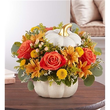 PLENTIFUL WHITE CERAMIC PUMPKIN ARRANGEMENT